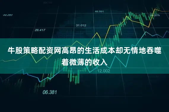 牛股策略配资网高昂的生活成本却无情地吞噬着微薄的收入